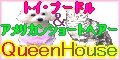 トイプードルとアメリカンショートヘアーのQueenHouse