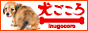 【川口市・船橋市・中野区】犬ごころドットコム