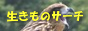 �������̃T�[�`