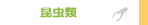 �����ށb�摜�E����f����