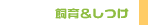 �y�b�g�̎���E�����E�g���[�j���O�Ɋւ���f����